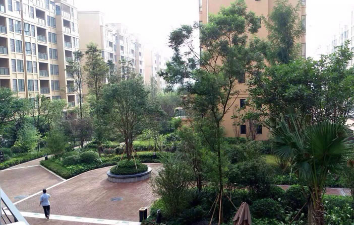 S36沙龙会 - 要玩就玩沙龙会