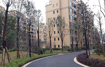S36沙龙会 - 要玩就玩沙龙会